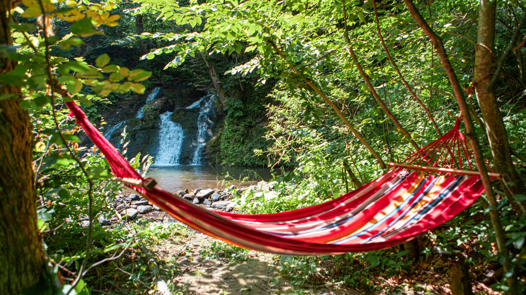 Hanging a Hammock Between Two Trees By The River