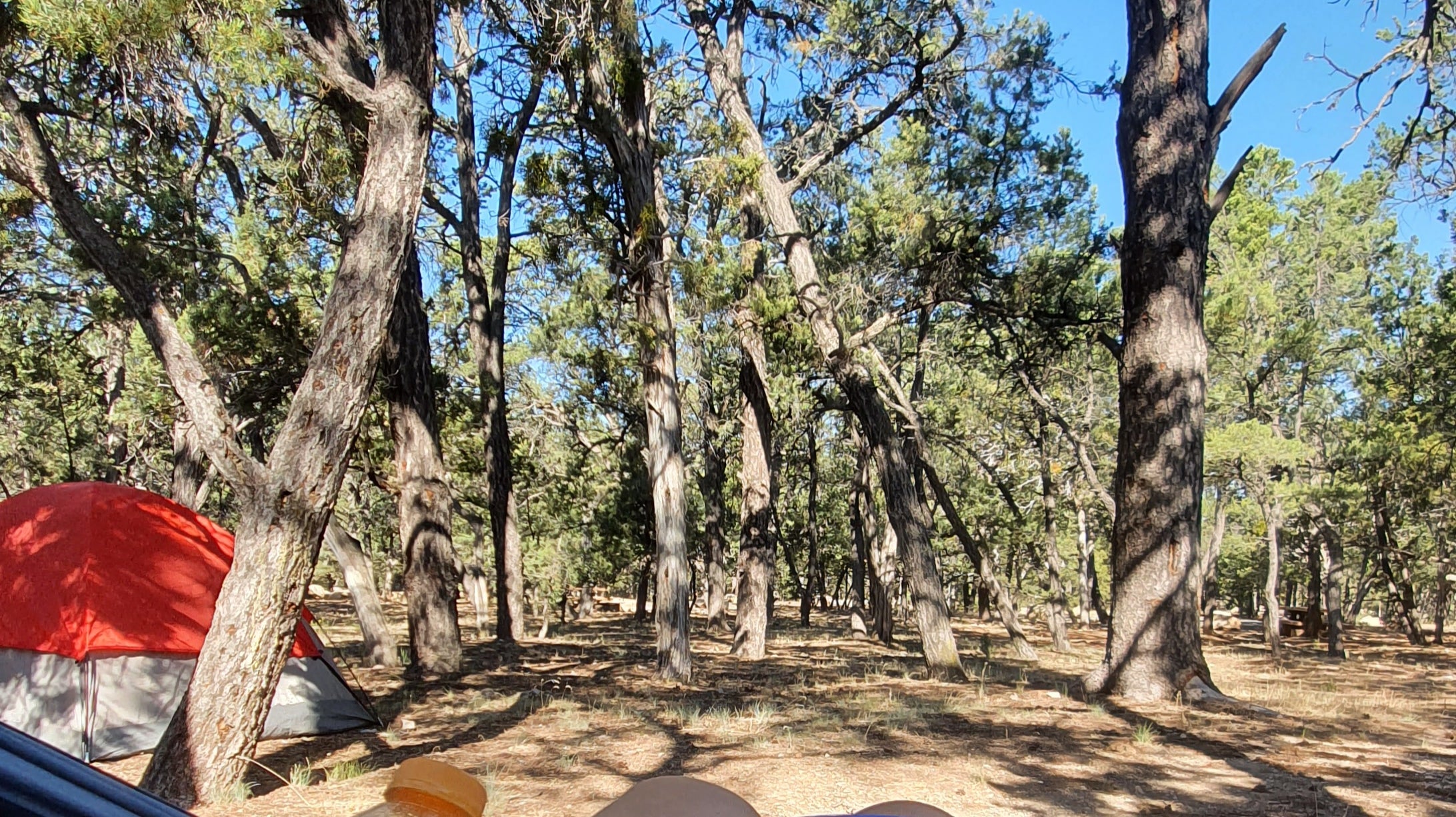 5 Simple Camping Cooking Hacks