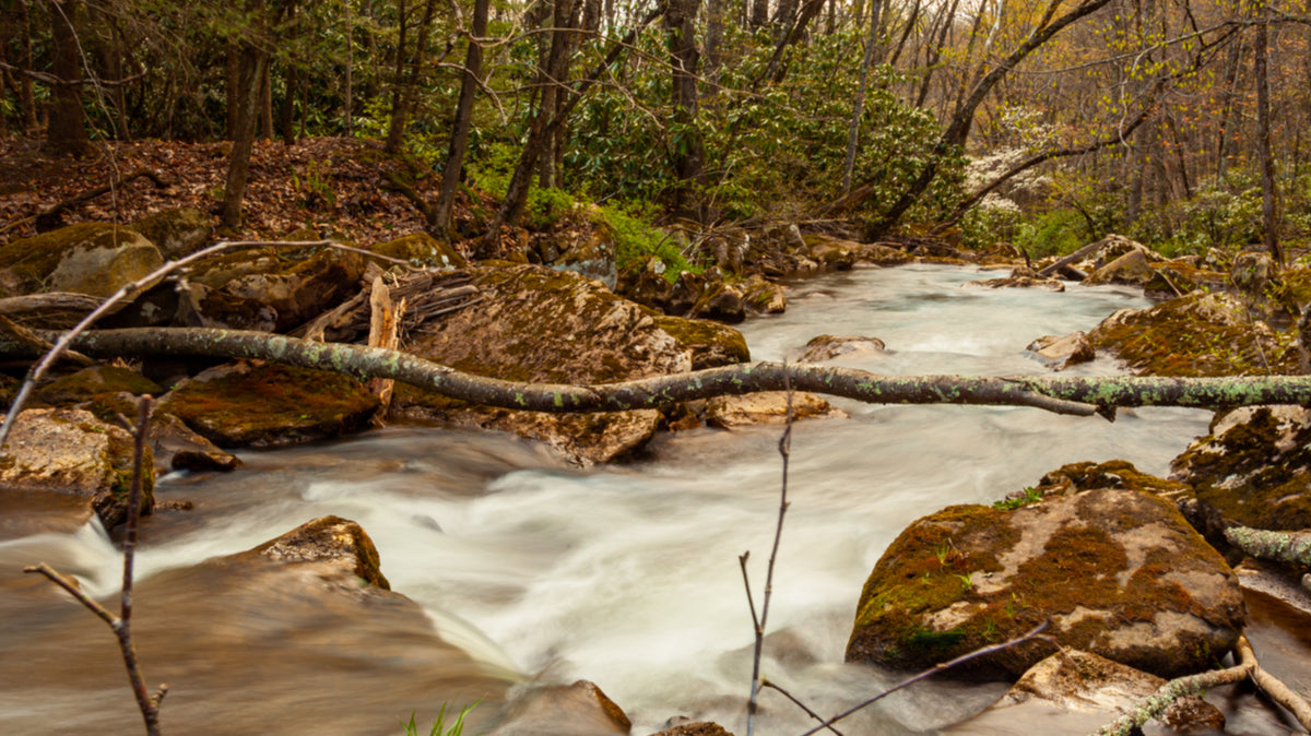 6 Spring Camping and Hiking Hacks