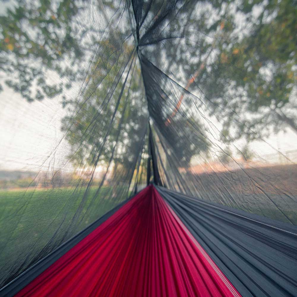 Inside view of a hammock bug net with a hammock outdoors.