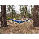 Portable Hammock hung between two trees outside in the woods.