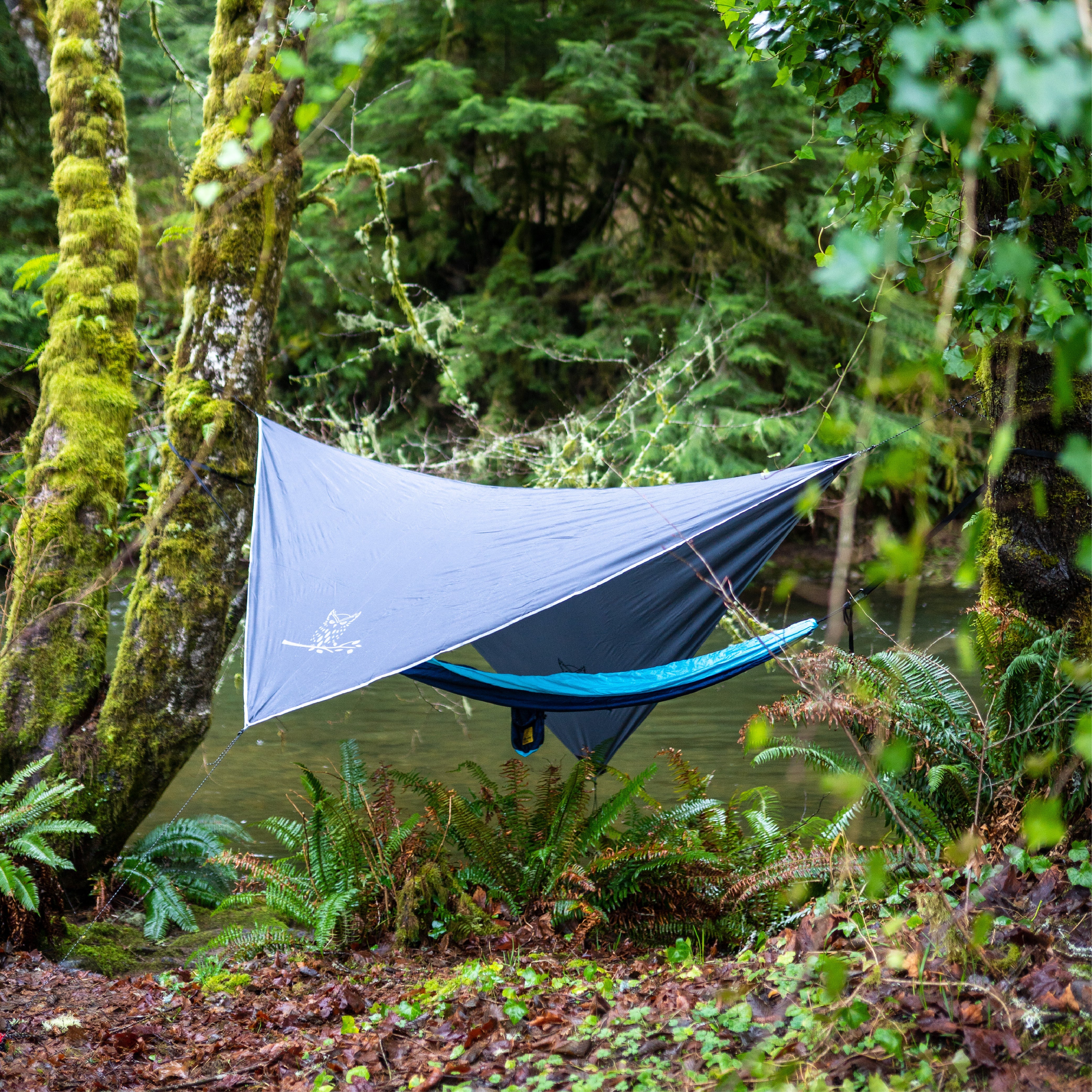 Hammock with a waterproof hammock tarp between two trees by a river.