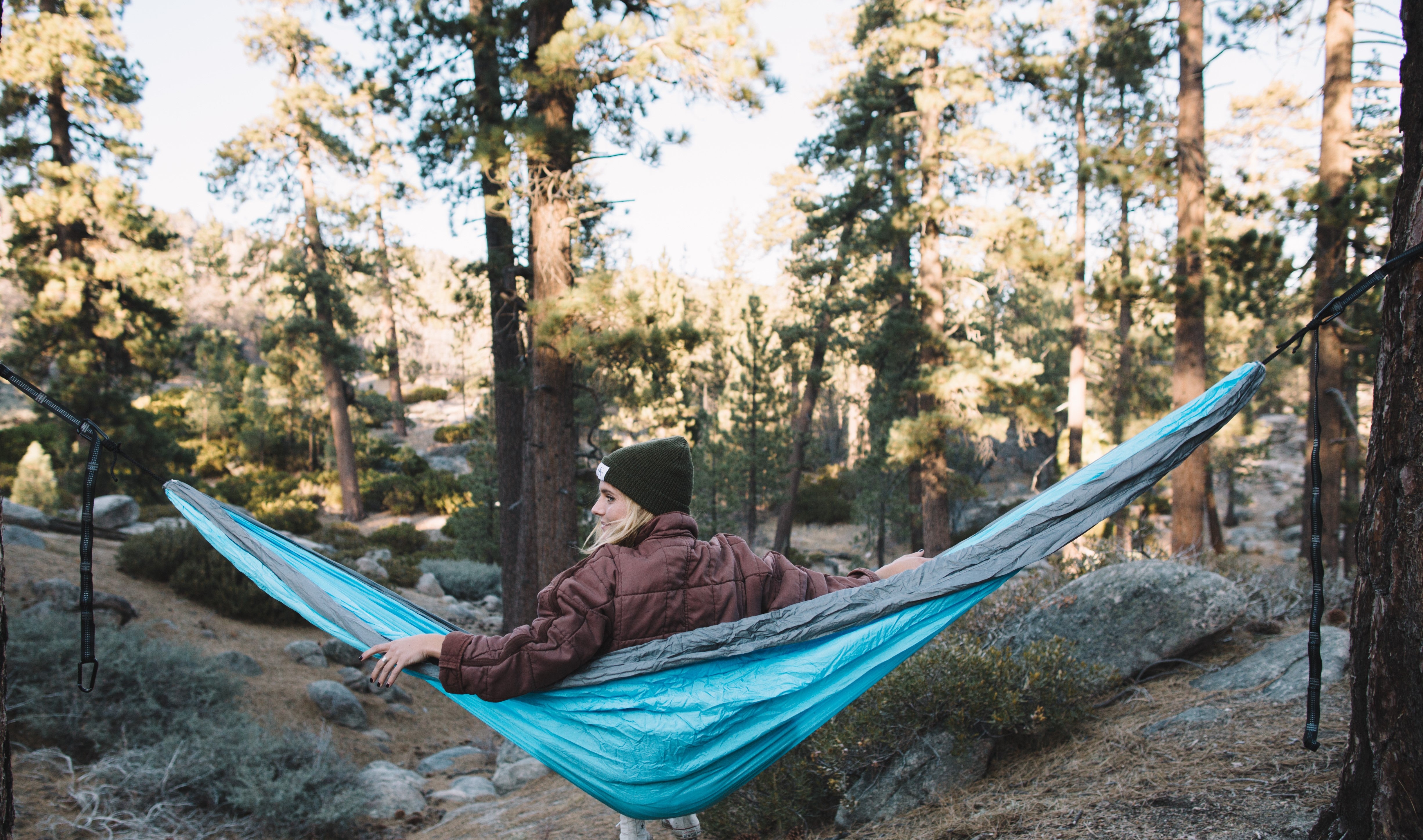 Welcome to Notes from the Perch