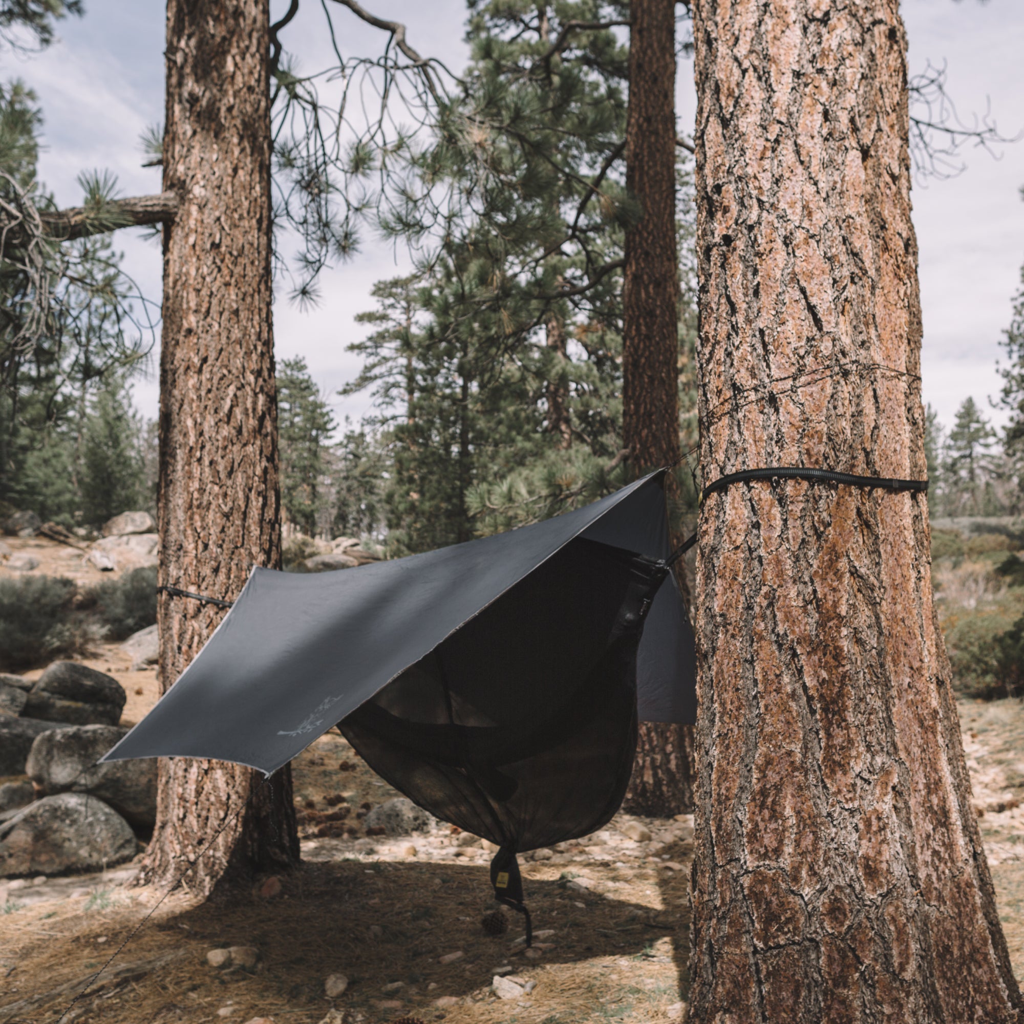 Tarp Tips: How to Maximize Your Shelter with the Wisefly Rain Tarp!