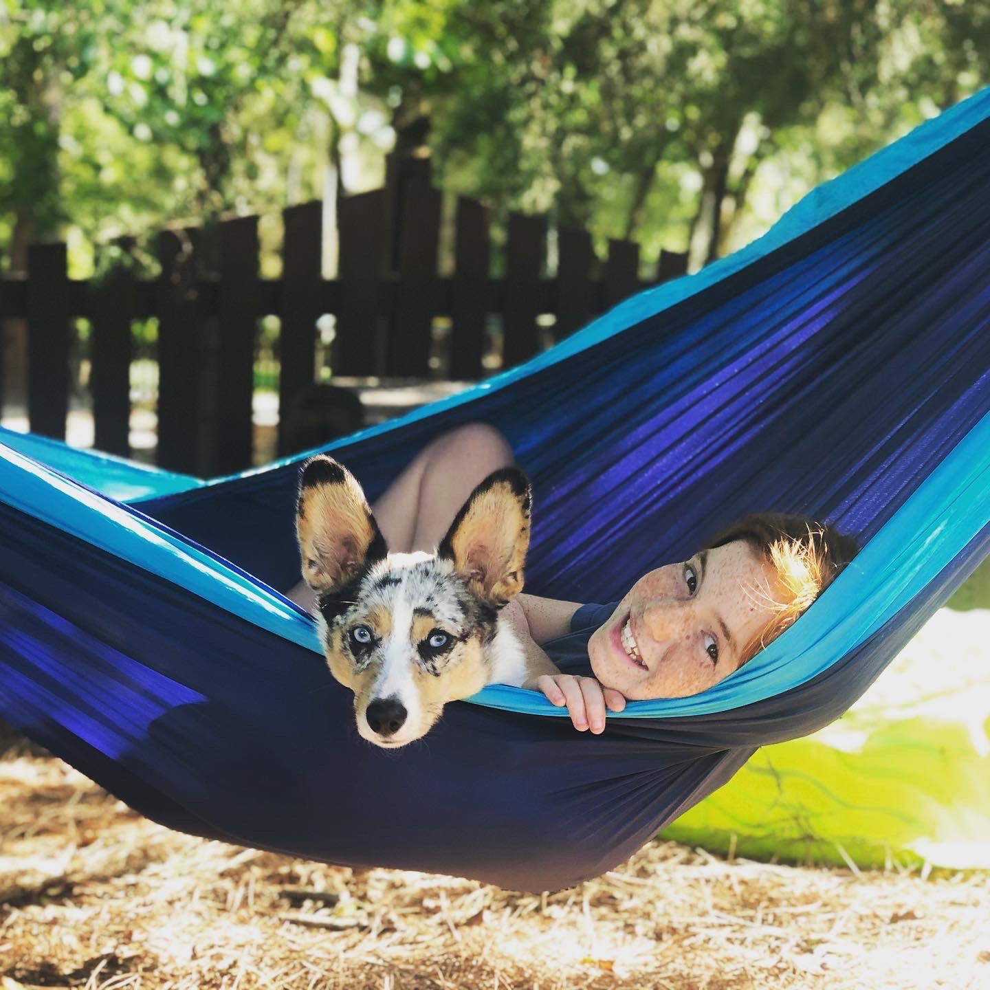 4 Tips to Hammock With Your Pet