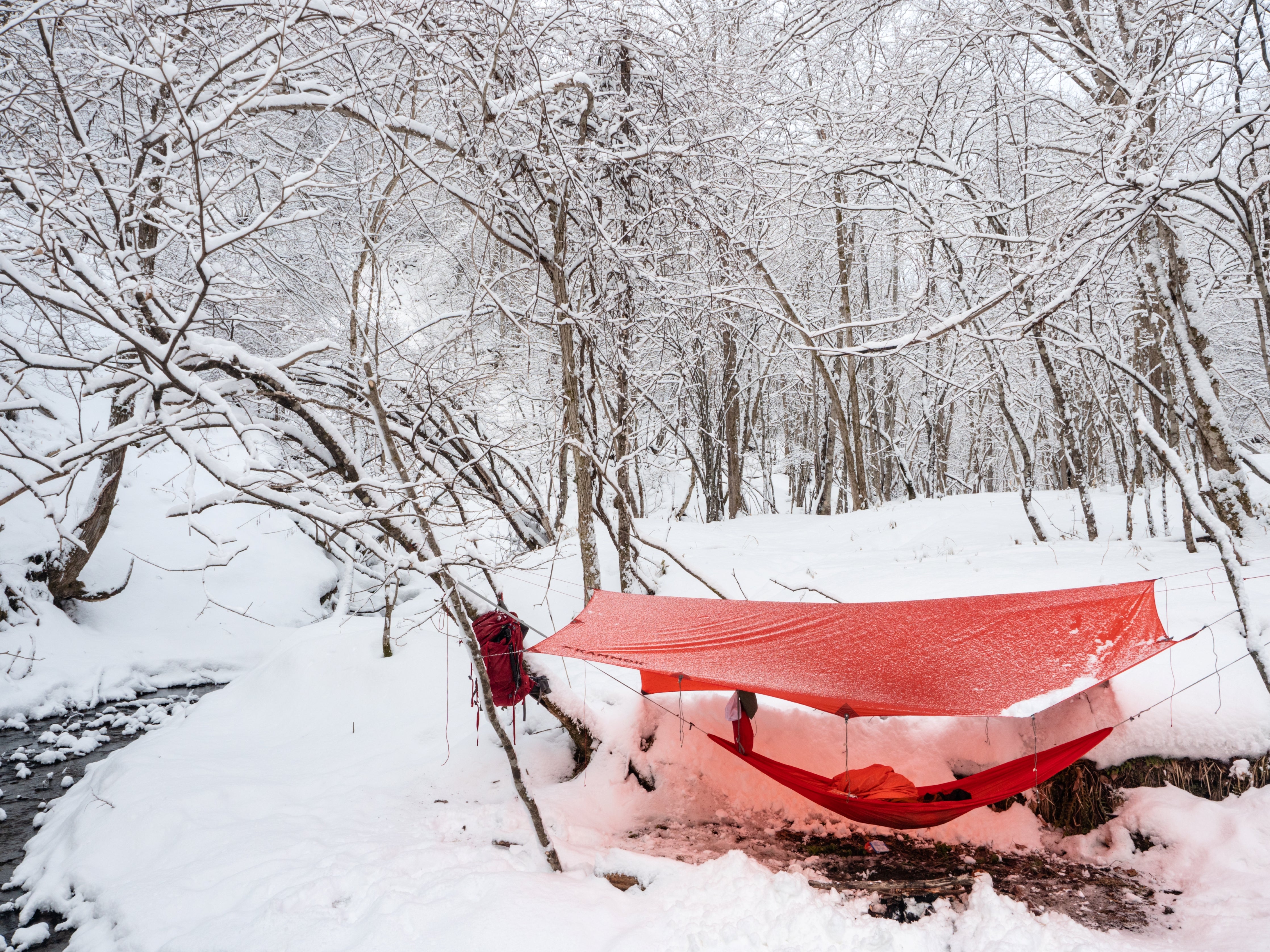 winter hammocking in the snow during the winter season