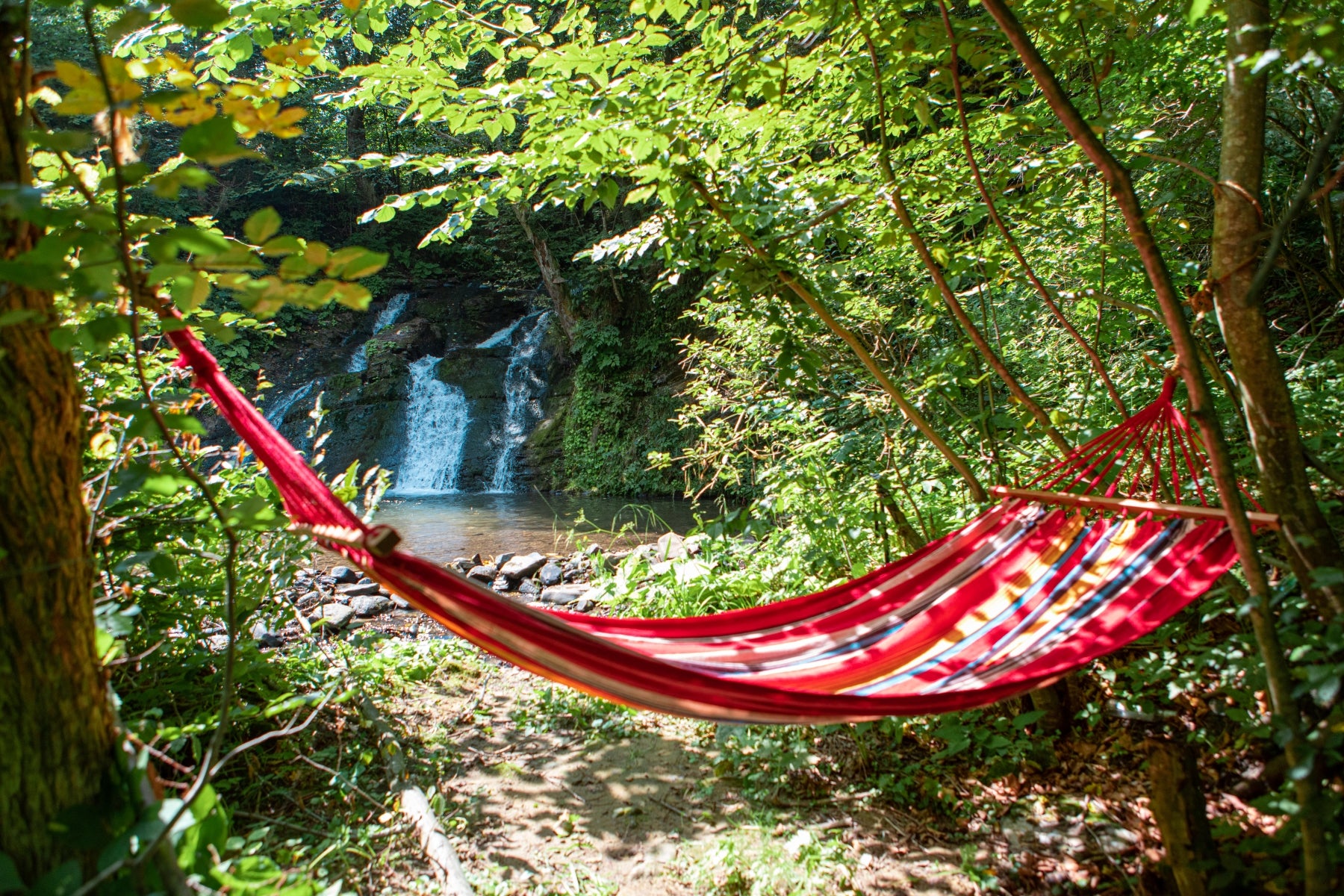 Hanging a Hammock Between Two Trees By The River