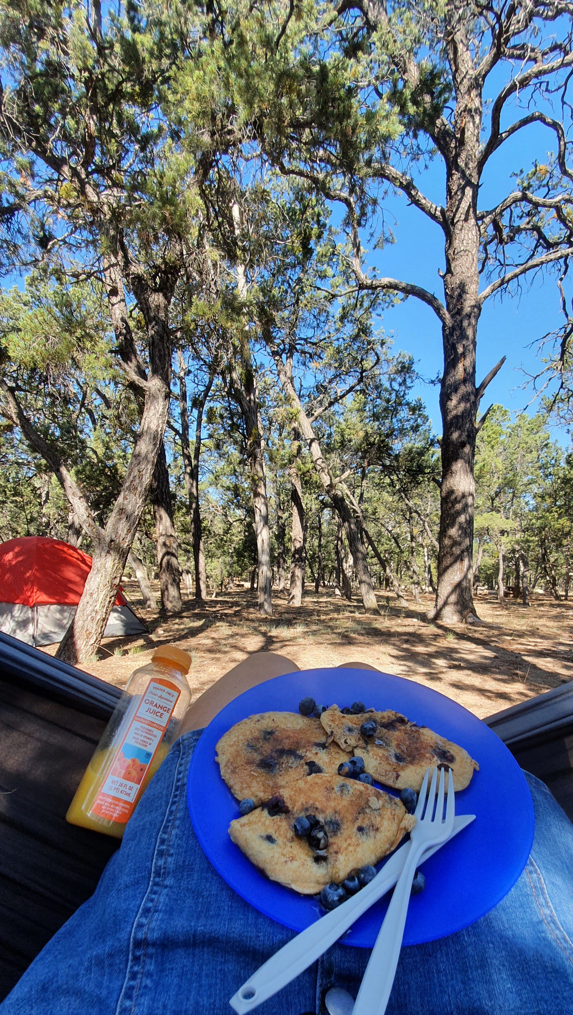 5 Simple Camping Cooking Hacks