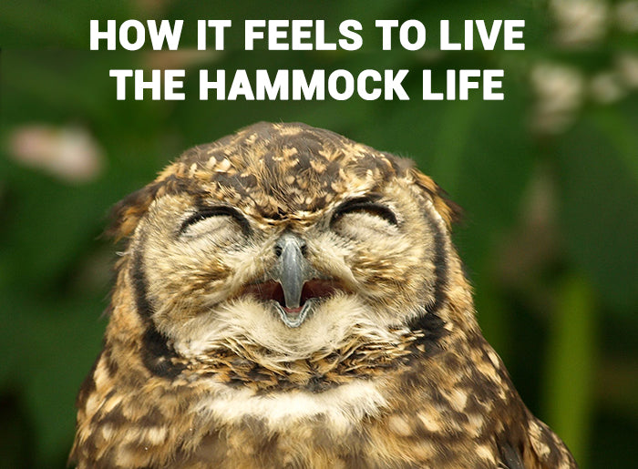 owl-smiling-with-caption-saying-how-it-feels-to-live-the-hammock-life