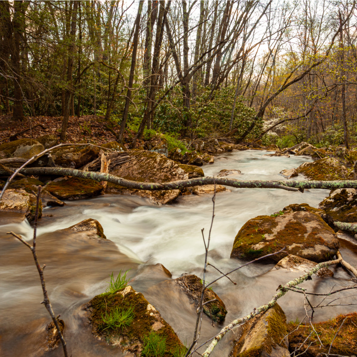 6 Spring Camping and Hiking Hacks