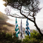 beach towels hanging on trees