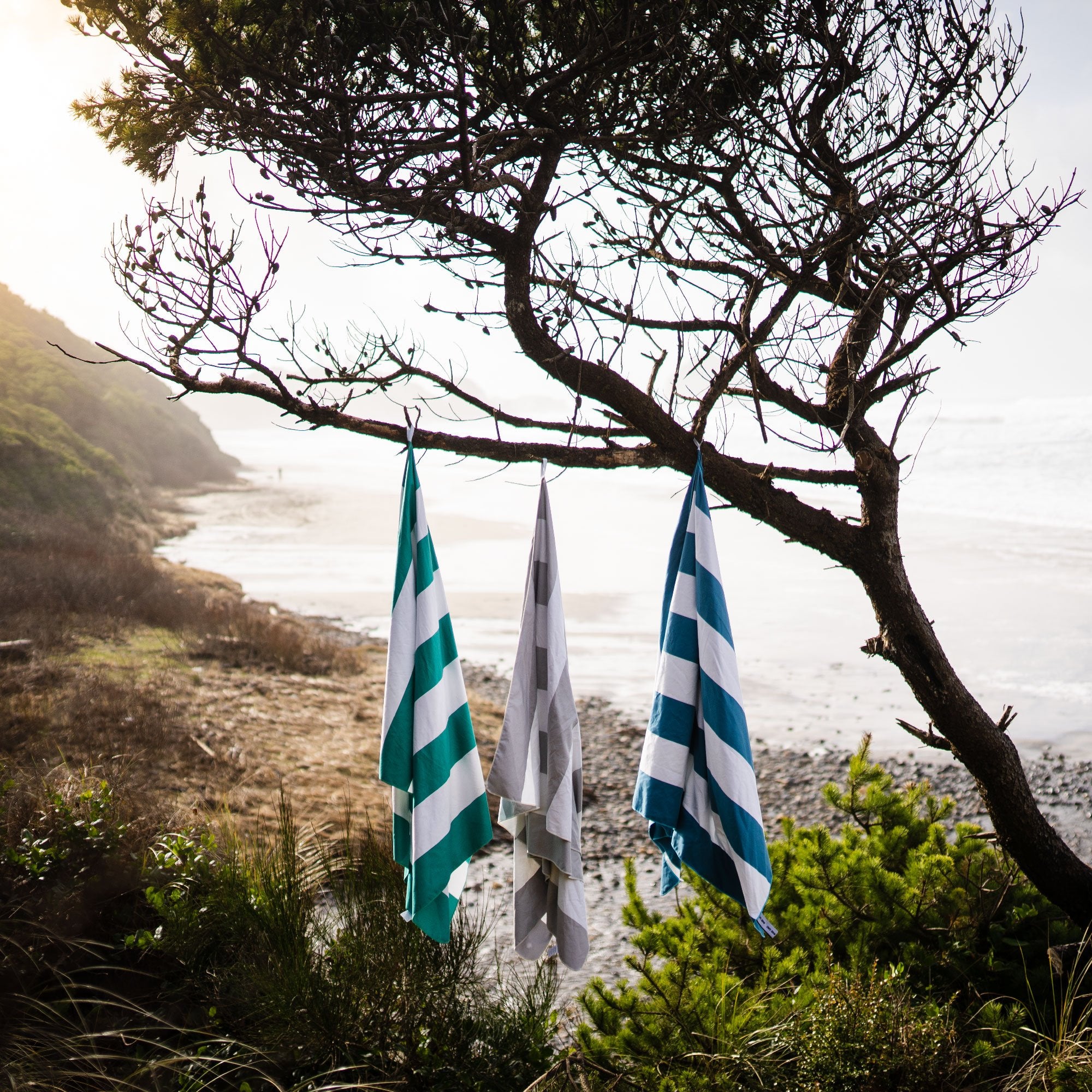 beach towels hanging on trees